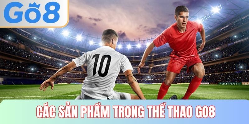 Top các siêu phẩm tại sảnh GO8